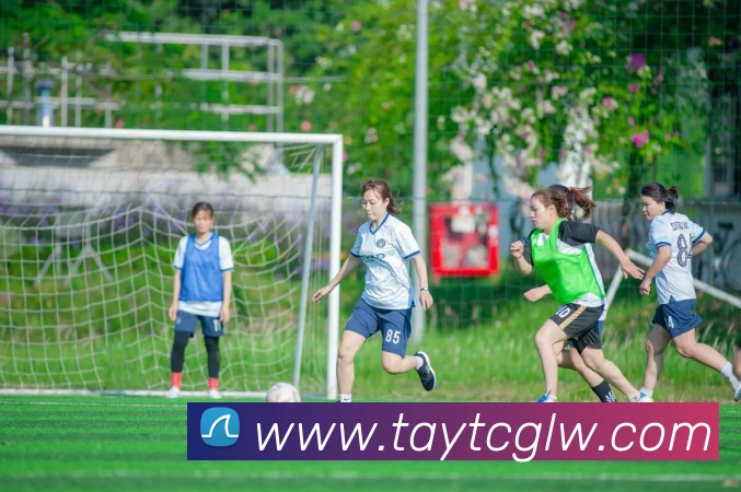 多媒体互动体验